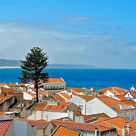 - & Dorms Nazaré