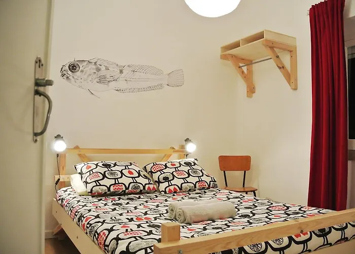 אכסניה - & Dorms *